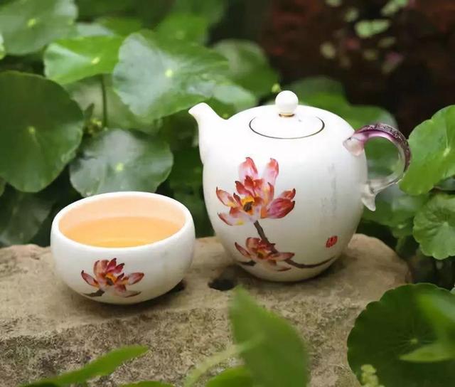 真正的人生從50歲開始，低頭種菜，抬頭賞花！