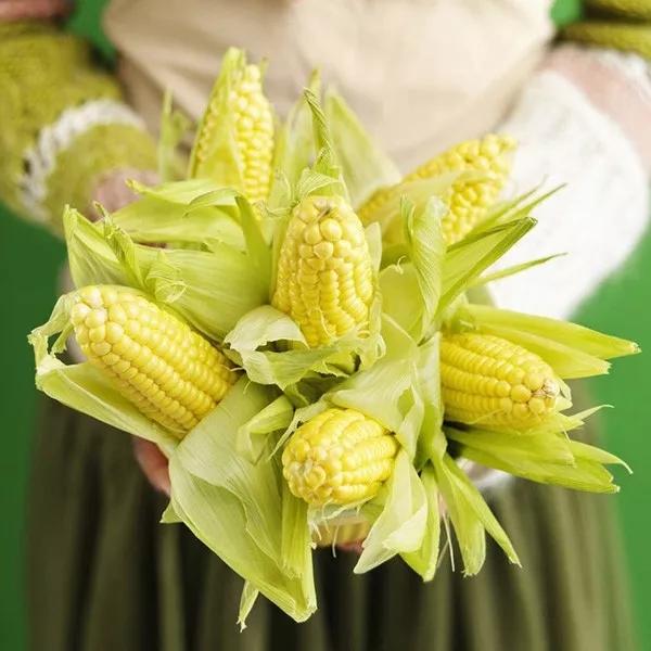 長得像草莓，你竟然告訴我它是玉米？