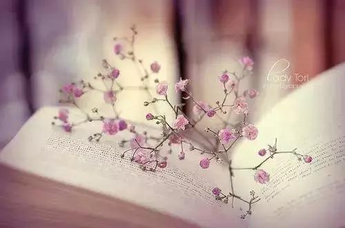 心就一顆，抵不住一次次的傷