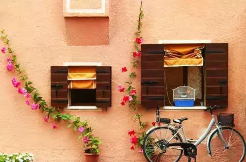 心就一顆，抵不住一次次的傷