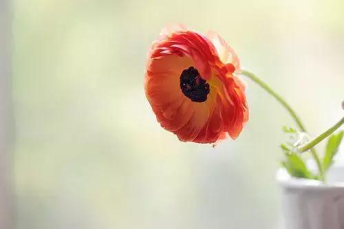 心就一顆，抵不住一次次的傷