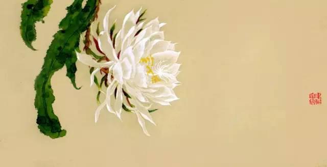 老樹畫畫：人間三月春風來，有花正向心頭開