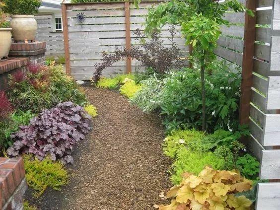 葉子比花還美的礬根，陽台養花首選，耐陰耐寒好養活！