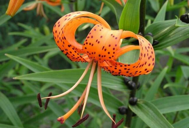 學會獨立才是最硬的靠山；相信自己的能力生活才會更自信！