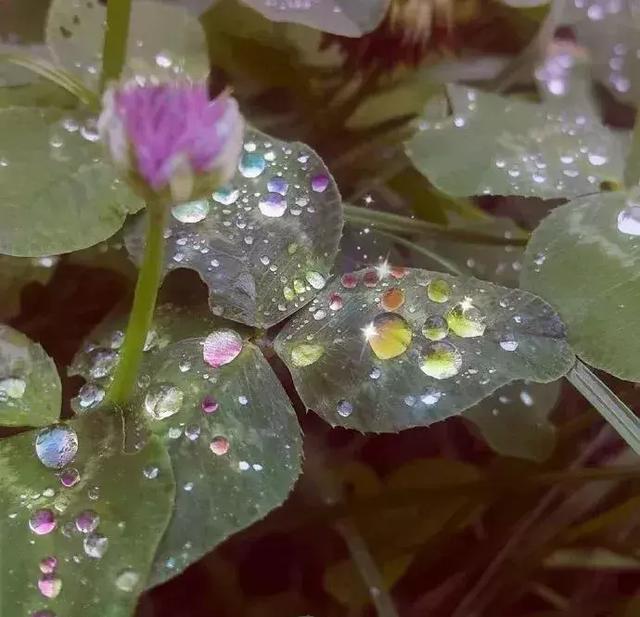 引路靠貴人，走路靠自己