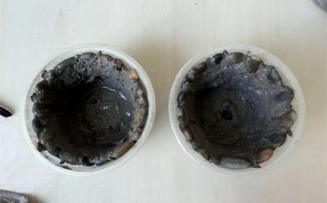 路邊沒人要的石頭，被他做成花盆，種上花後堪比藝術品！