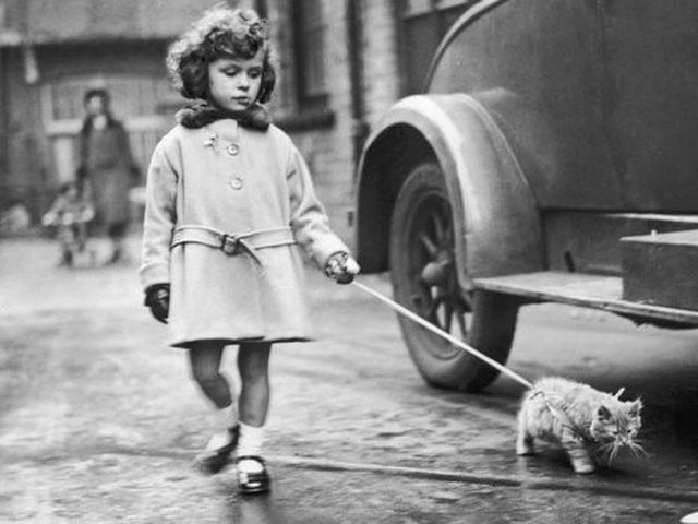 孩子聰不聰明，看他說這三種話就知道了