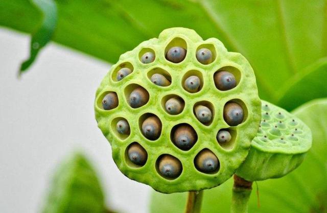 再大的事，到了明年就是故事，學會淡定，才是生活