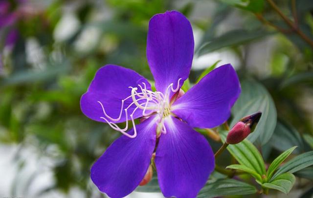 自己不堅強，軟弱給誰看！