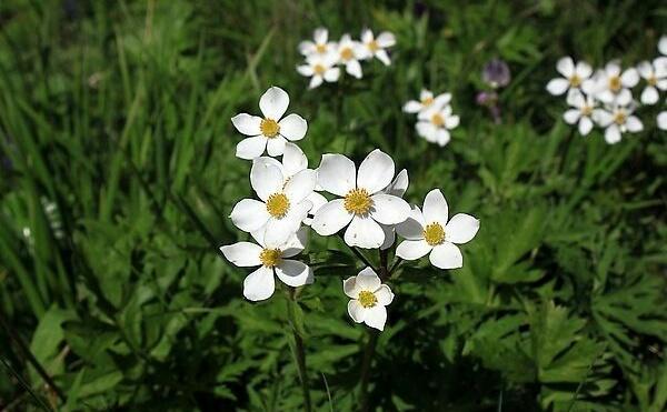 自己不堅強，軟弱給誰看！