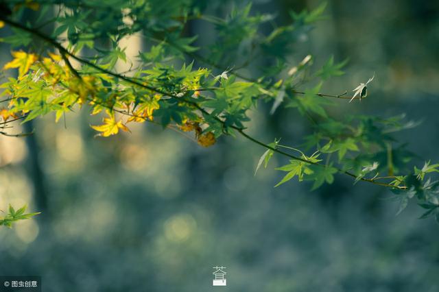 做人，別做怕風見雨的泥菩薩！