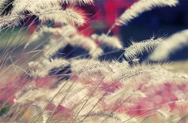 後來才明白什麼是愛情，並不是沒你不行！