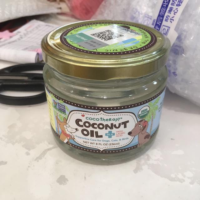 狗狗的皮膚瘙癢難受，這五個簡單的家庭療法，幫狗狗擺脫瘙癢困擾