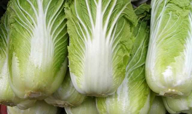 大白菜5種最好吃的做法，每種都營養美味，看看你愛吃哪種？
