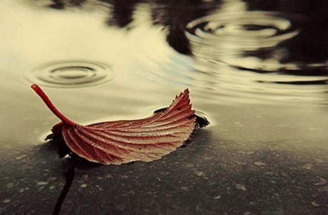 不可抑制的極端走向，是這個星座的隱藏屬性