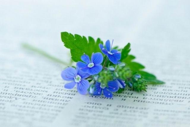 不可抑制的極端走向，是這個星座的隱藏屬性