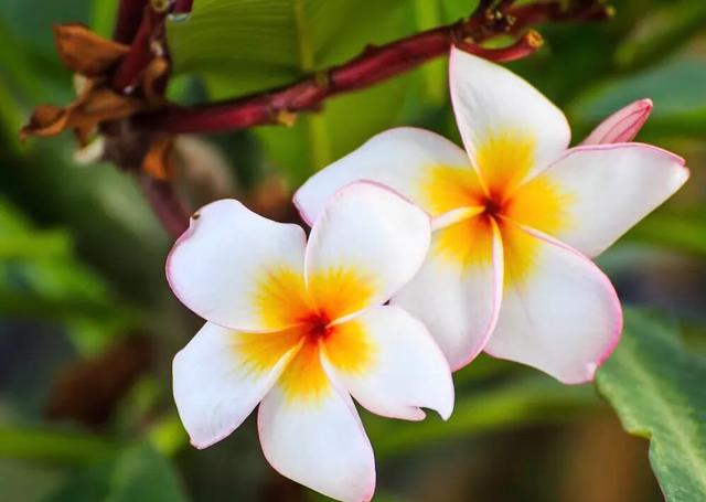 人活著，不管多大年紀，都得明白，說話分人，有些話不能隨便說