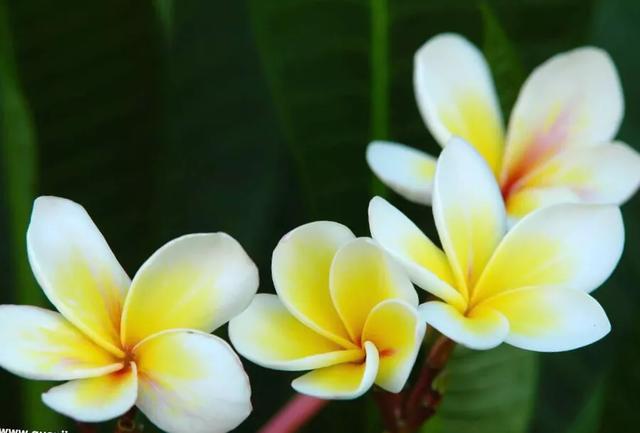 人活著，不管多大年紀，都得明白，說話分人，有些話不能隨便說