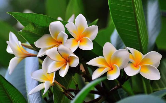 人活著，不管多大年紀，都得明白，說話分人，有些話不能隨便說