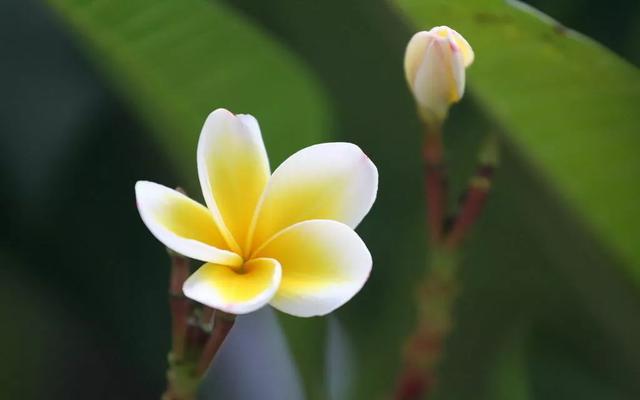 人活著，不管多大年紀，都得明白，說話分人，有些話不能隨便說