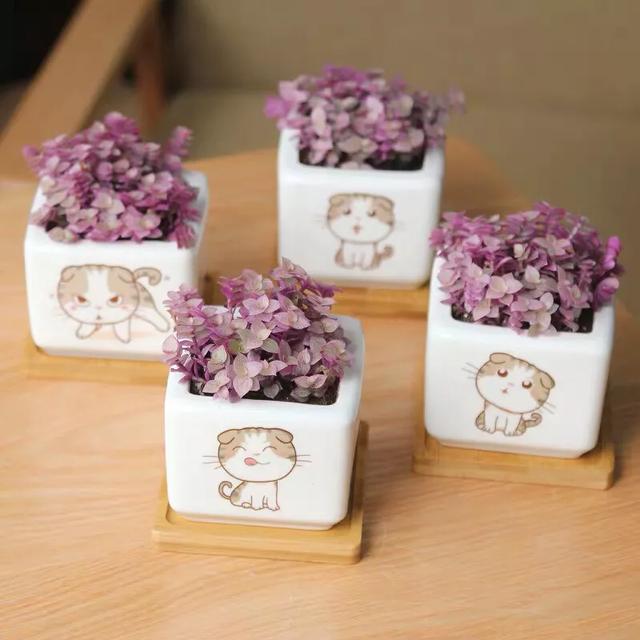 散文——努力不是為了一定得到，只願將來不糾結於'我本可以'