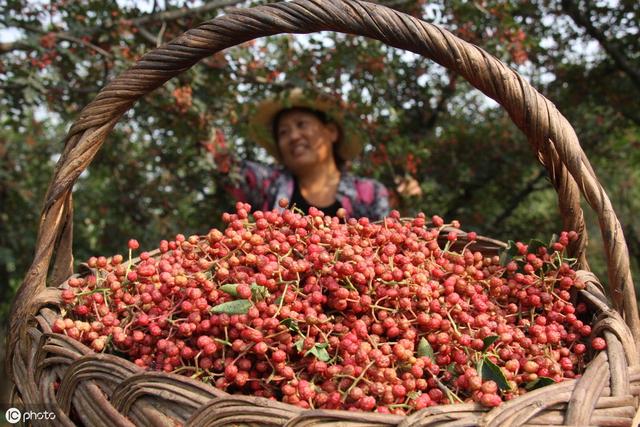 用它泡腳，遠離白髮困擾！