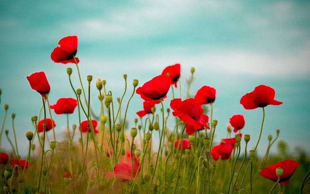 只要生命還在，一切都可以重來