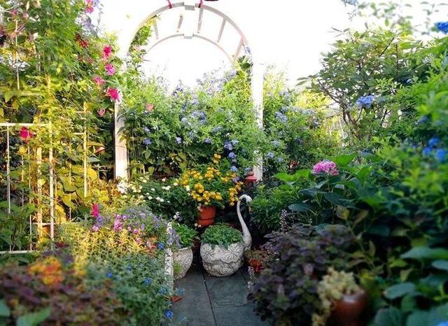 家裡光照不好，她爬房頂養花，建成人人羨慕的花園！