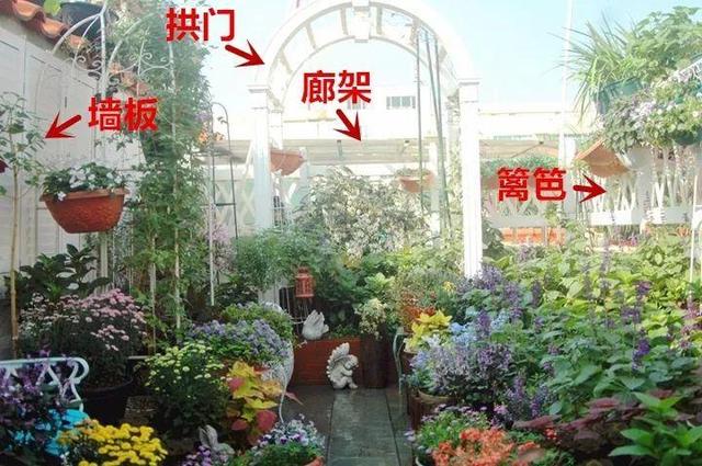 家裡光照不好，她爬房頂養花，建成人人羨慕的花園！