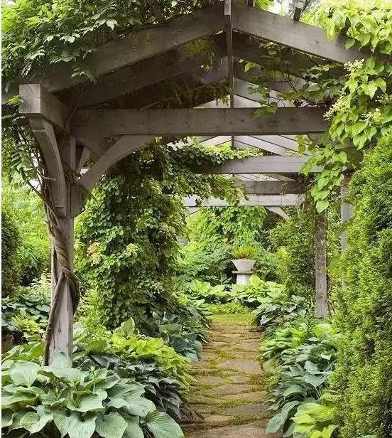 家裡光照不好，她爬房頂養花，建成人人羨慕的花園！