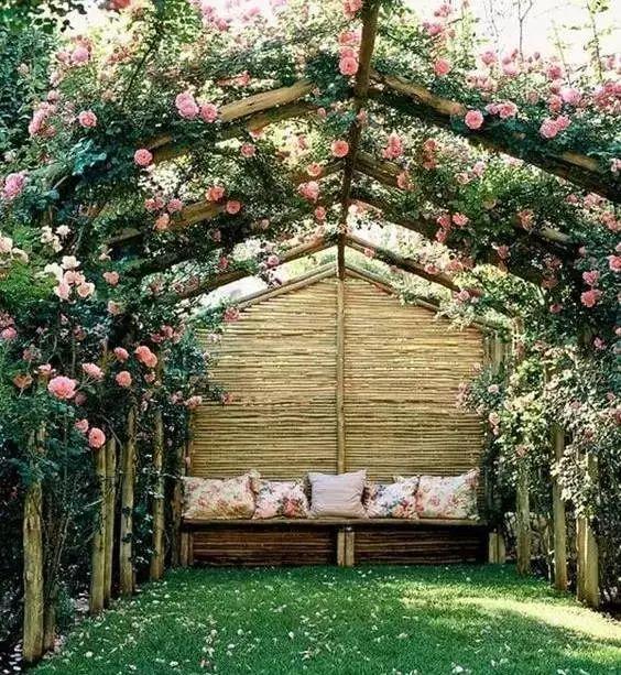 家裡光照不好，她爬房頂養花，建成人人羨慕的花園！