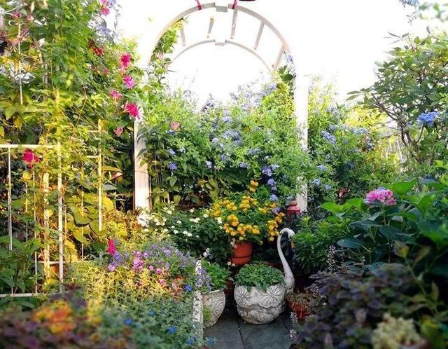 家裡光照不好，她爬房頂養花，建成人人羨慕的花園！