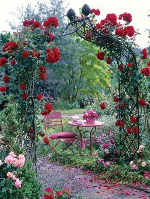 家裡光照不好，她爬房頂養花，建成人人羨慕的花園！