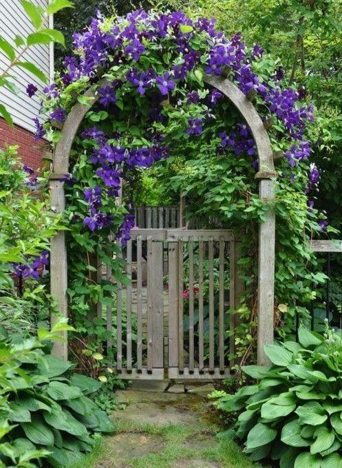 家裡光照不好，她爬房頂養花，建成人人羨慕的花園！