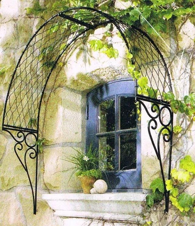 家裡光照不好，她爬房頂養花，建成人人羨慕的花園！