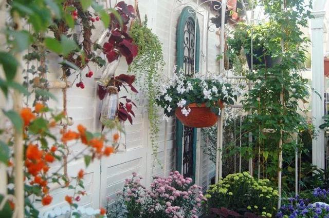 家裡光照不好，她爬房頂養花，建成人人羨慕的花園！