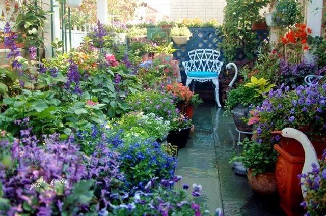 家裡光照不好，她爬房頂養花，建成人人羨慕的花園！