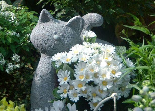 家裡光照不好，她爬房頂養花，建成人人羨慕的花園！