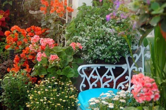 家裡光照不好，她爬房頂養花，建成人人羨慕的花園！