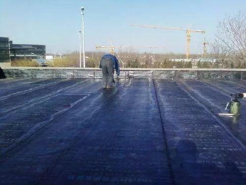 家裡光照不好，她爬房頂養花，建成人人羨慕的花園！