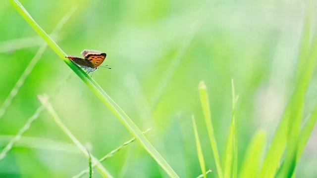 人心，是一塊田