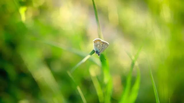 人心，是一塊田