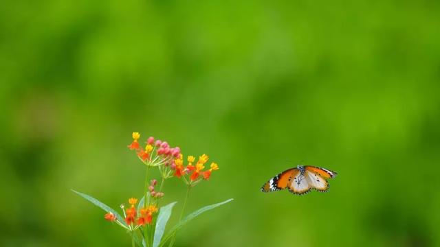 人心，是一塊田