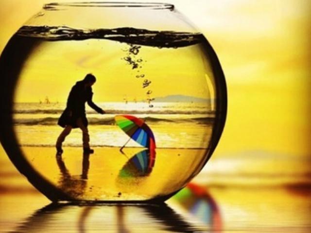 可以委屈但請別卑微，這個星座是強者的菜