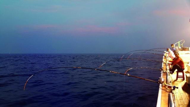 夜幕下，駛向大海的深處——韓國夜釣帶魚後的攻略總結