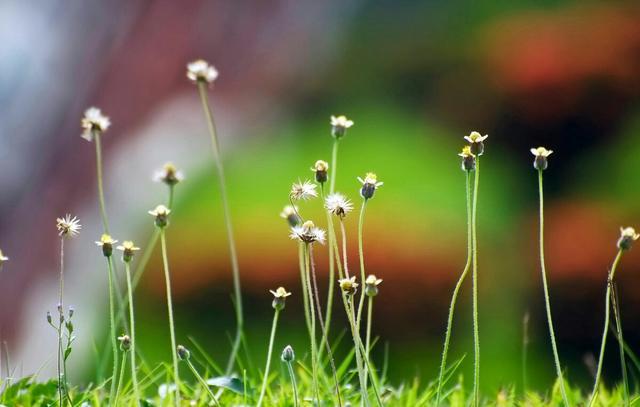 有缺憾才是恆久，不完滿才叫人生