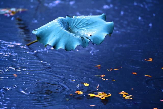 有缺憾才是恆久，不完滿才叫人生