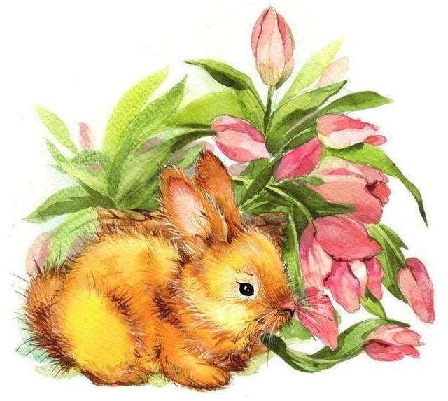 自帶吸金福氣的4大生肖