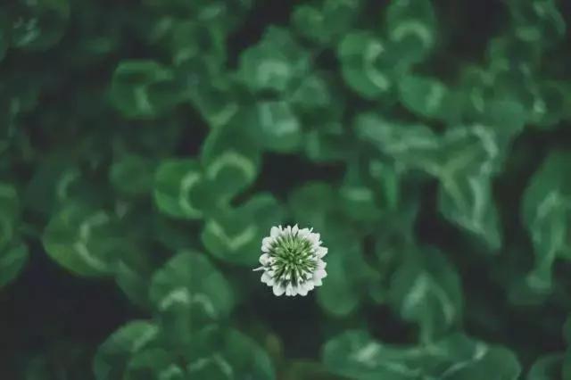 人，可以不富有！