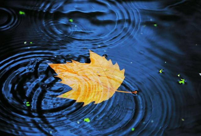 人到中年，想要往高處走，就要學會扔掉這4個“東西”